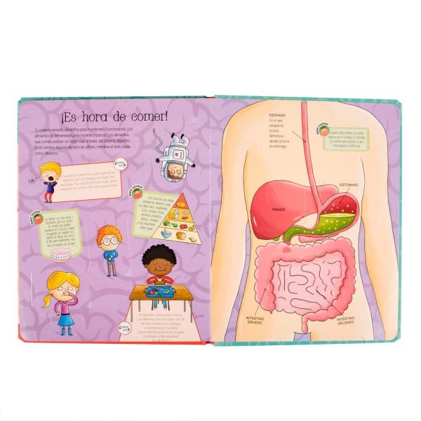 El Cuerpo Humano - Imagen 3