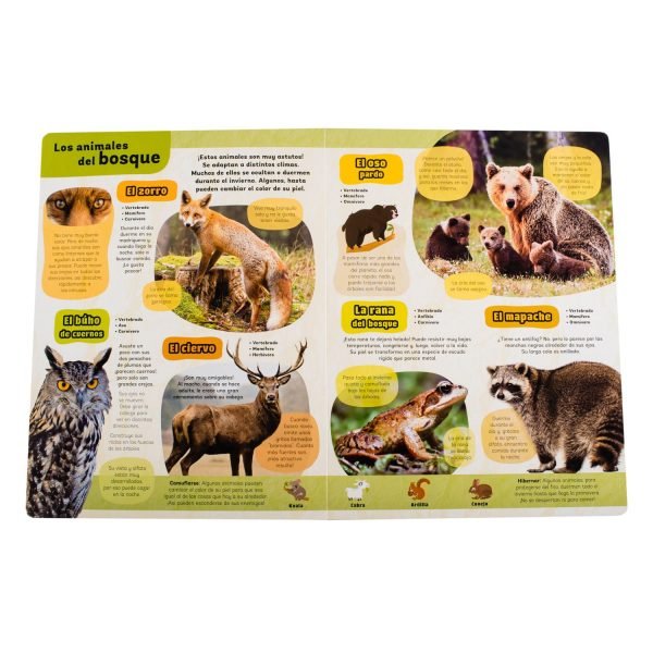 Mi Gran Libro de Animales - Imagen 3