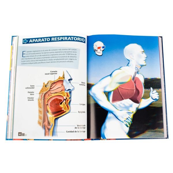 El Cuerpo Humano en 3D - Imagen 3