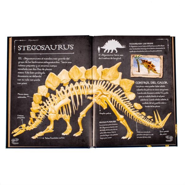 Colección de Huesos: Dinosaurios - Imagen 2