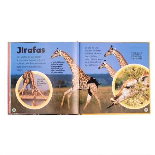 Mi Pequeño Libro de Animales - Imagen 4