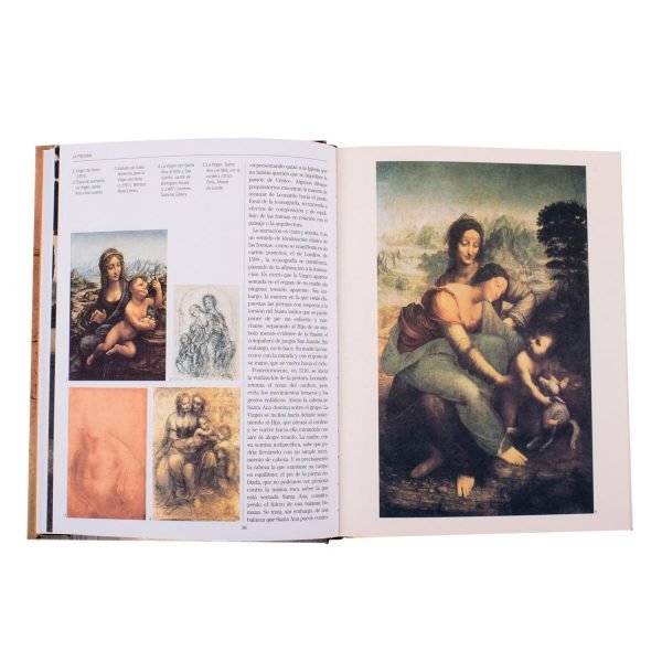 Leonardo Da Vinci: Vida y Obra - Imagen 3
