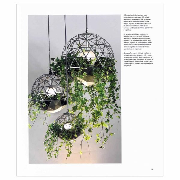 Decorar Con Plantas - Imagen 2