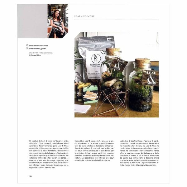 Decorar Con Plantas - Imagen 4