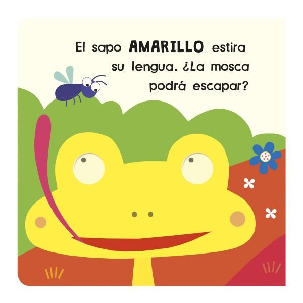 Mira y Descubre: Colores - Imagen 4
