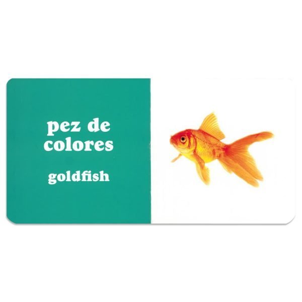 Mini Libros Bilingües - Imagen 2