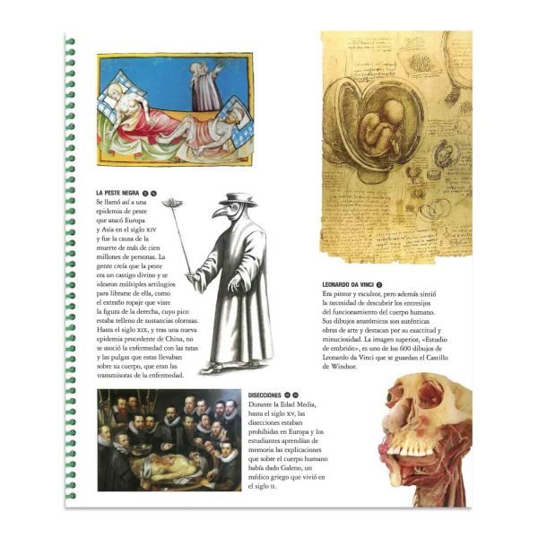 Explora El Cuerpo Humano - Imagen 2