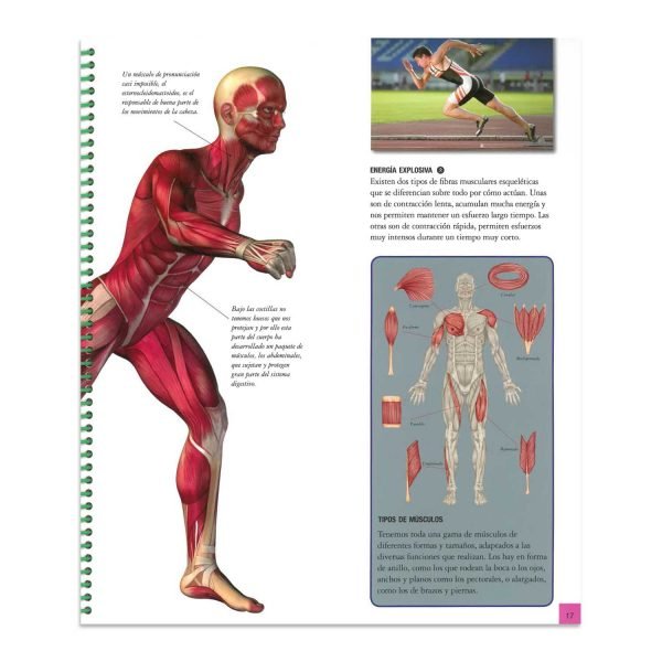 Explora El Cuerpo Humano - Imagen 3