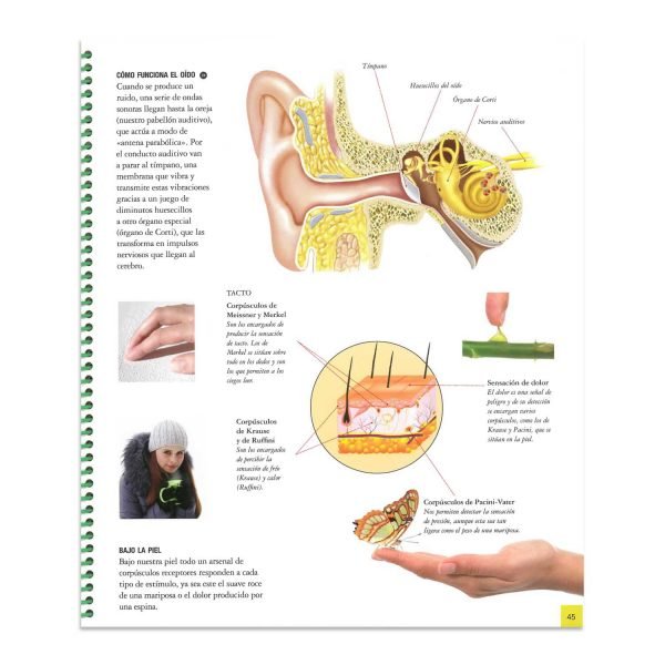 Explora El Cuerpo Humano - Imagen 4