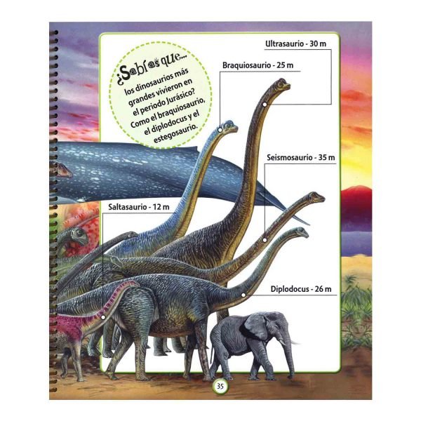 Explora los Dinosaurios - Imagen 4