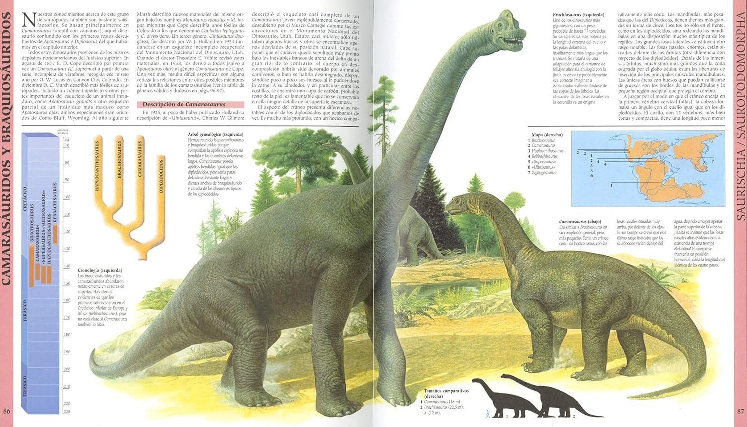 Atlas Ilustrado de los Dinosaurios - Imagen 2