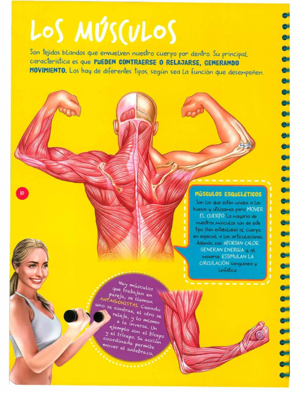 El Cuerpo Humano Transvisiones Espiralado - Imagen 2