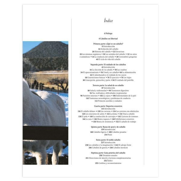Enciclopedia Definitiva del Caballo - Imagen 3