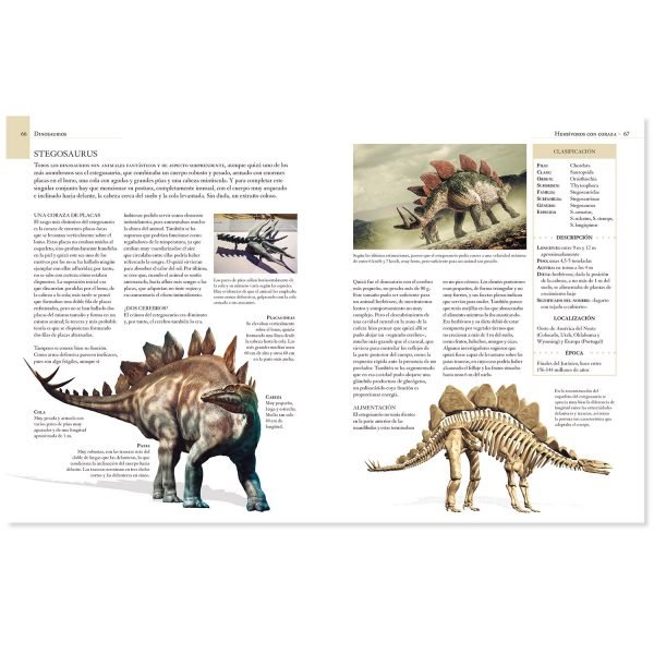 Enciclopedia Ilustrada de Los Dinosaurios - Imagen 3
