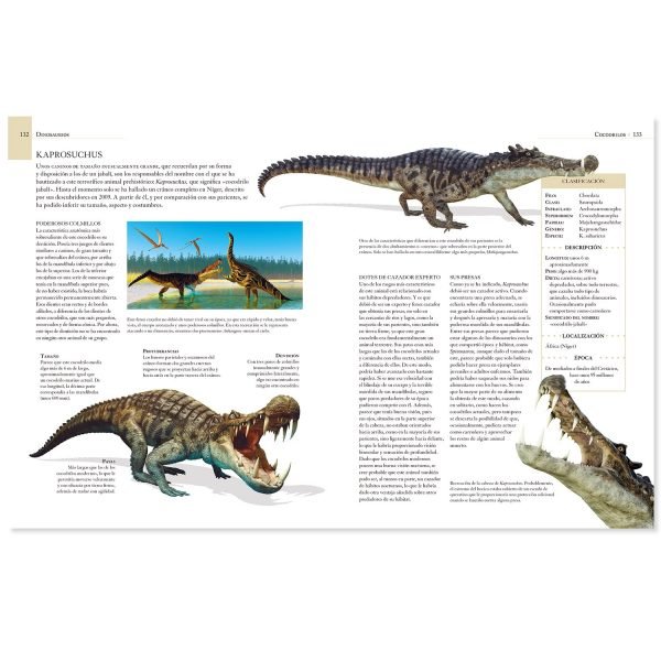 Enciclopedia Ilustrada de Los Dinosaurios - Imagen 2