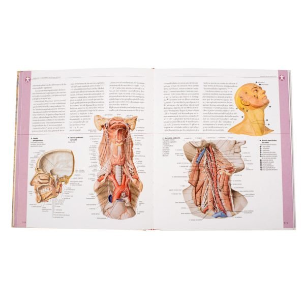 Atlas Ilustrado de Anatomía - Imagen 2