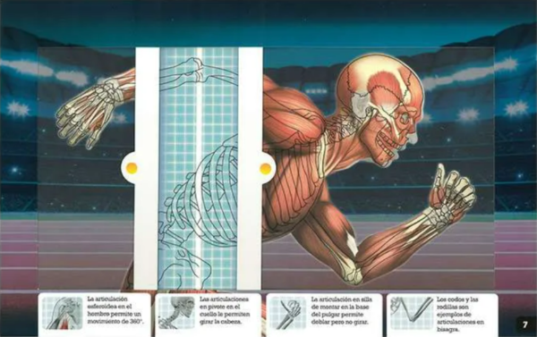 Scanorama: Cuerpo Humano - Imagen 2