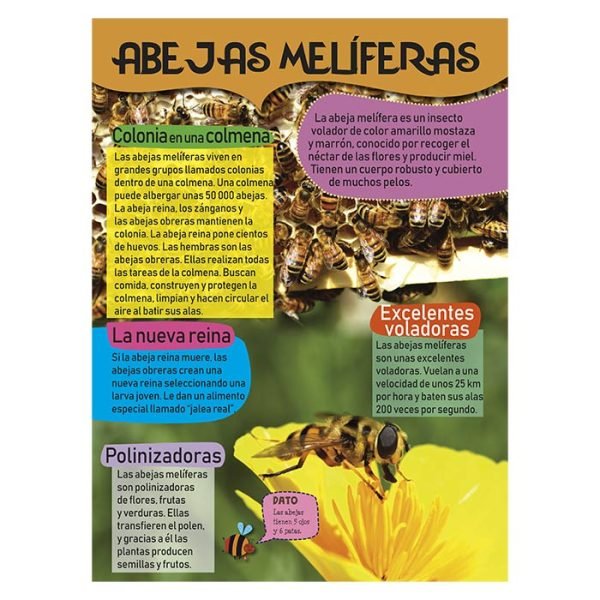Mi Gran Libro de Insectos - Imagen 4