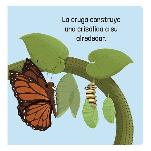 Cómo Funcionan los Organismos Vivos - Imagen 3