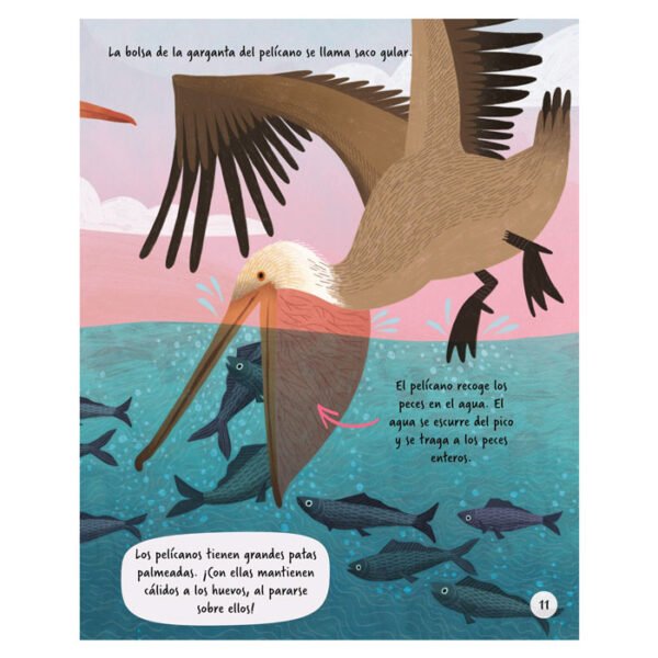 Exploremos El Océano - Imagen 2