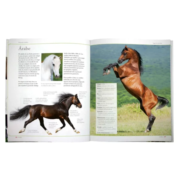 Enciclopedia de las Razas de los Caballos - Imagen 4