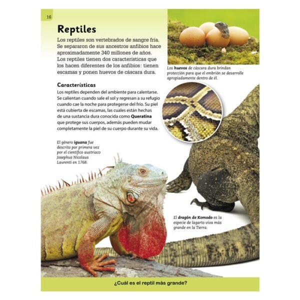 Enciclopedia Ilustrada Mundo Animal - Imagen 3