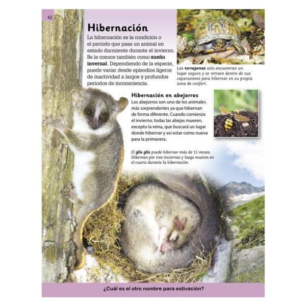 Enciclopedia Ilustrada Mundo Animal - Imagen 4