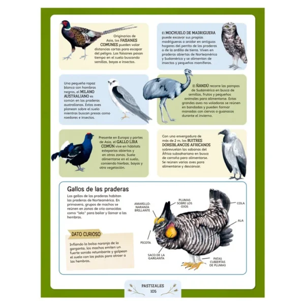 Escuela de la Naturaleza - Imagen 3