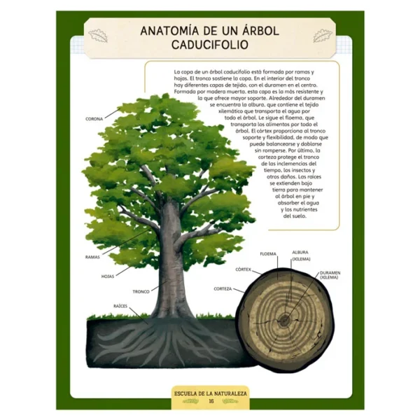 Escuela de la Naturaleza - Imagen 2