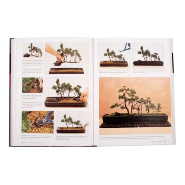 Bonsai, Guía Práctica Completa - Imagen 4