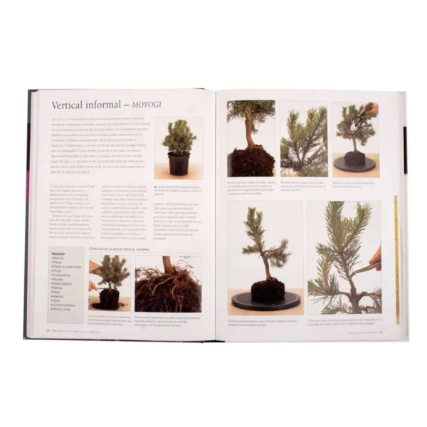 Bonsai, Guía Práctica Completa - Imagen 3