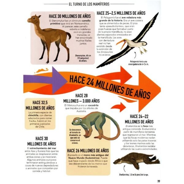 Cronologías Visuales Vida en la Tierra - Imagen 2