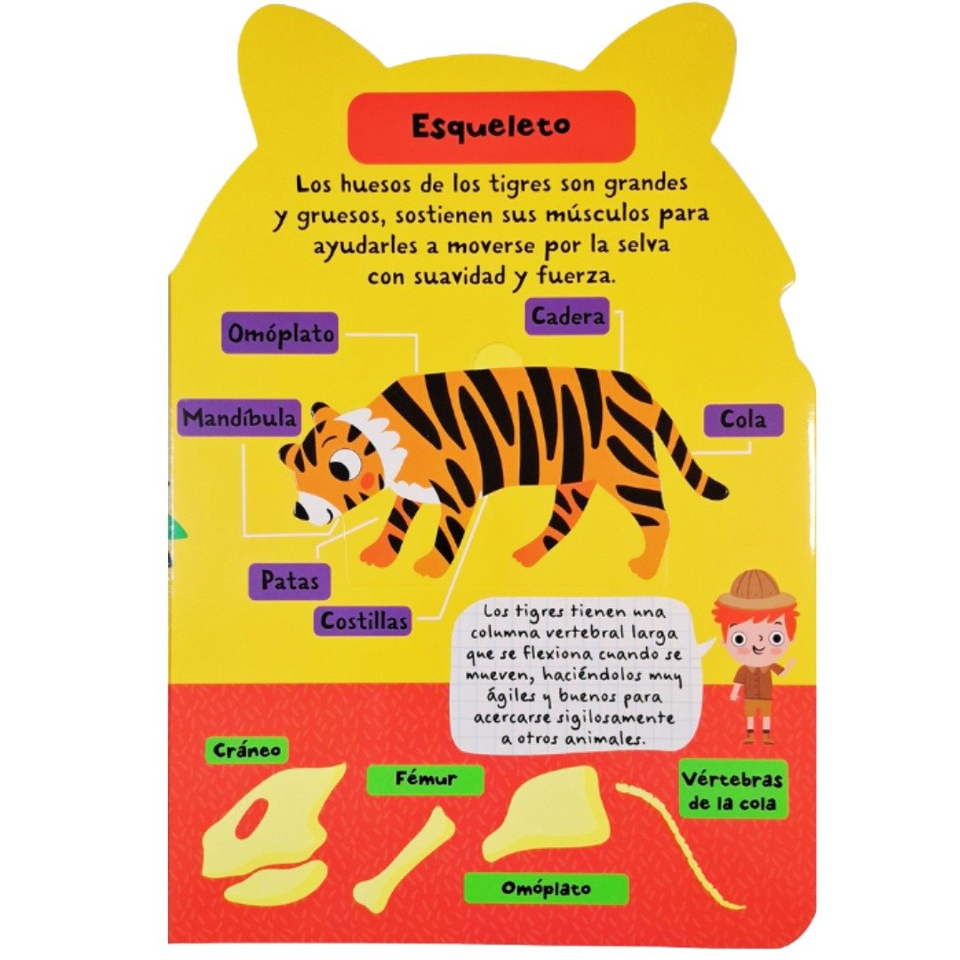 Datos Sobre La Jungla Levanta Solapas - Imagen 2