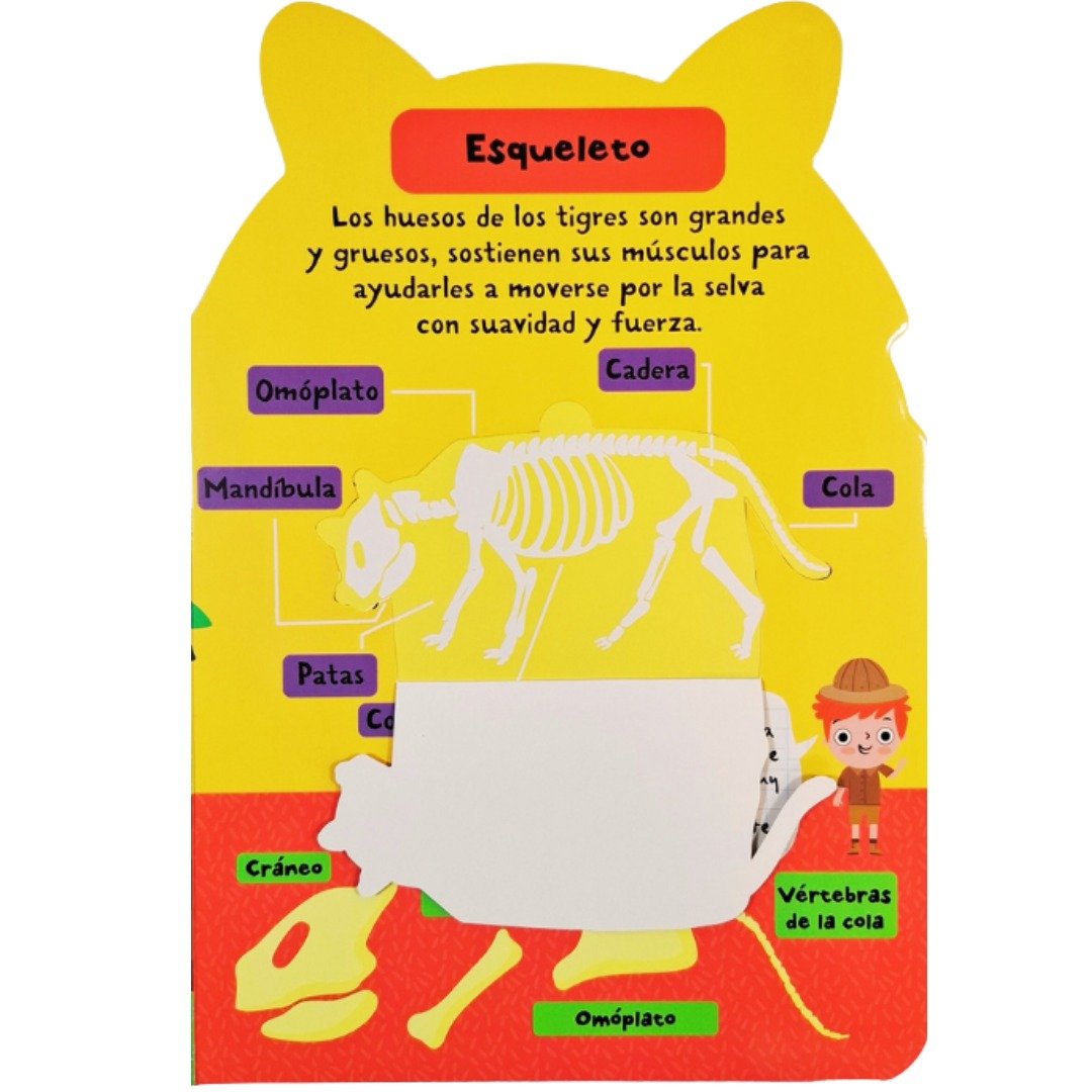 Datos Sobre La Jungla Levanta Solapas - Imagen 3