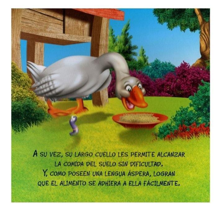 El Ganso Lalo - Imagen 2