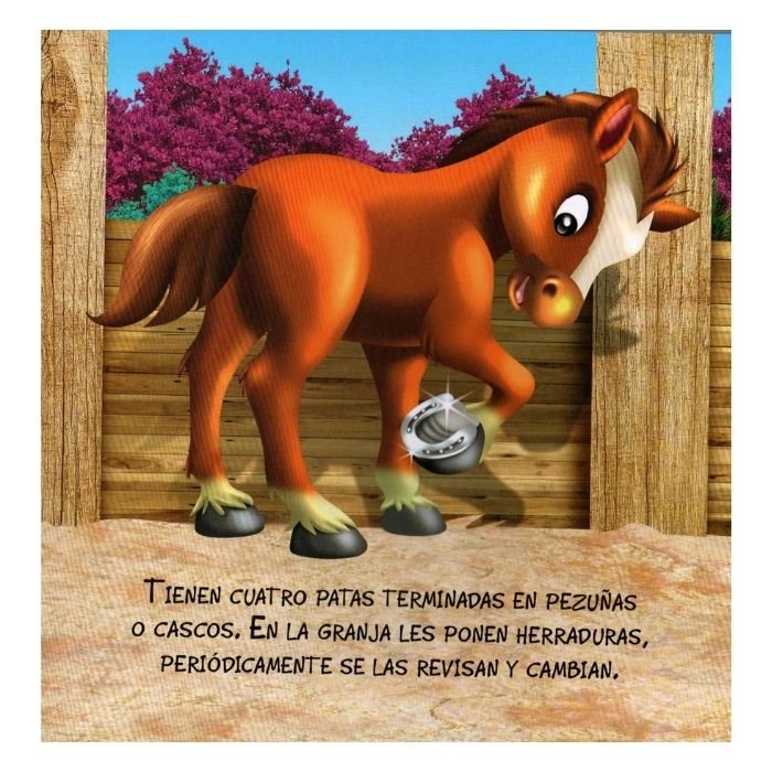Libro El Caballo Rayo