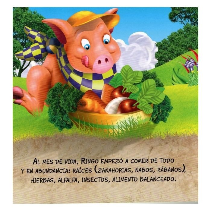 El Cerdo Ringo - Imagen 2