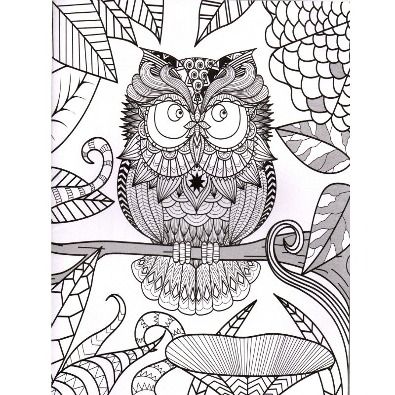 Libro Para Colorear - Aves - Imagen 2