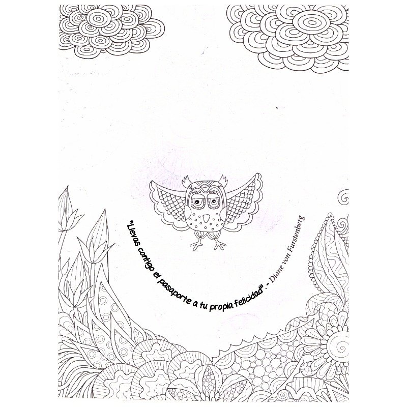 Libro Para Colorear - Aves - Imagen 3