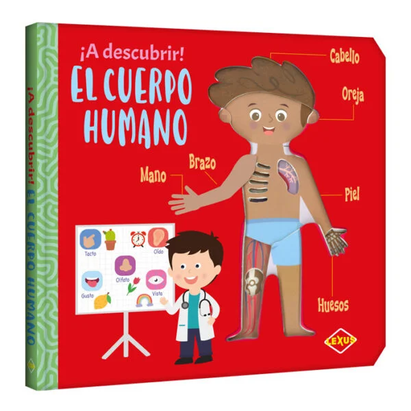 ¡A Descubrir! El Cuerpo Humano ¡A Descubrir! El Cuerpo Humano