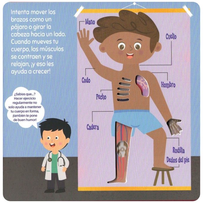 ¡A Descubrir! El Cuerpo Humano ¡A Descubrir! El Cuerpo Humano - Imagen 2