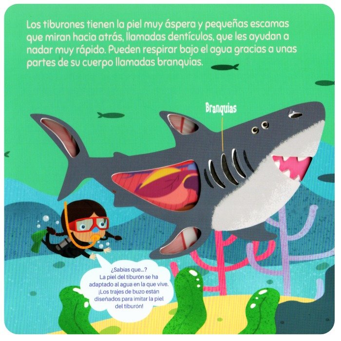 ¡A Descubrir! Tiburones - Imagen 2