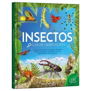 Insectos – Guía de Observación