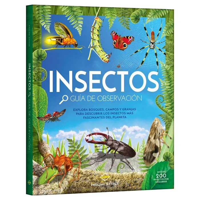 Insectos – Guía de Observación