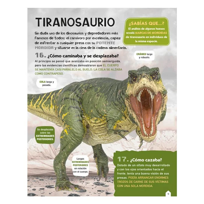 Dinosaurios – 100 Preguntas y Respuestas - Imagen 2