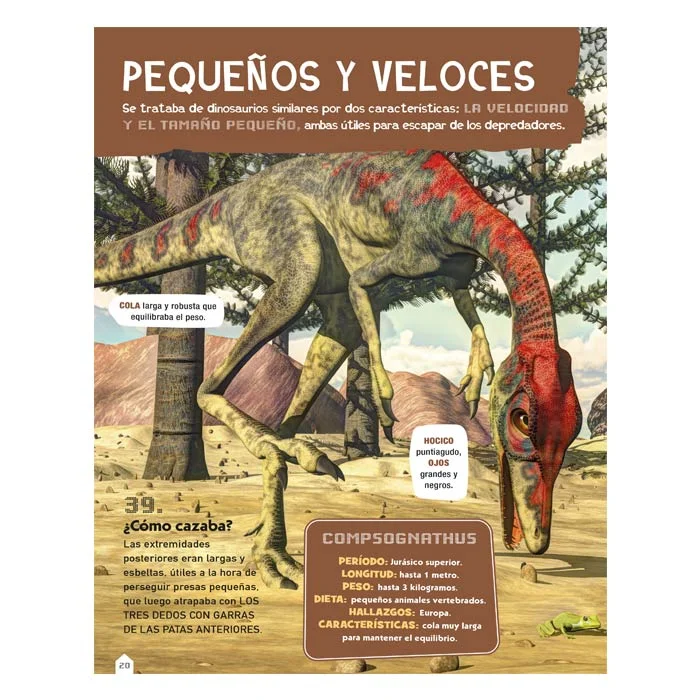 Dinosaurios – 100 Preguntas y Respuestas - Imagen 3
